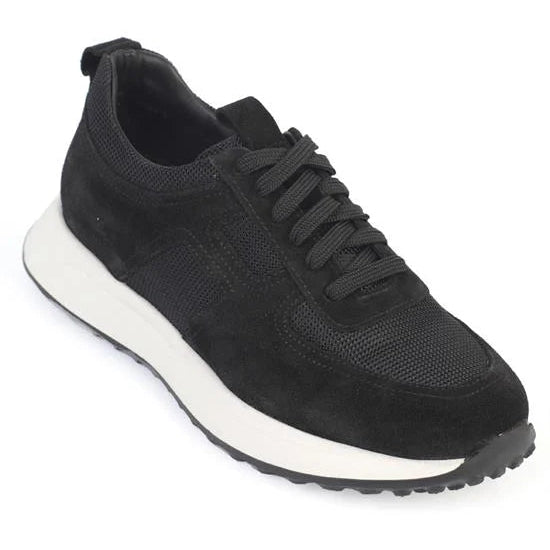 Rollo Black