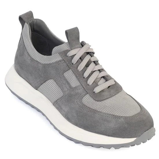 Rollo Grey