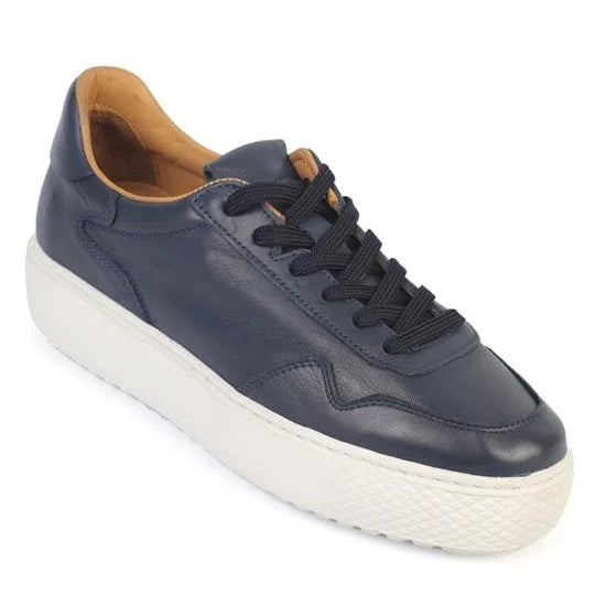 Rutte Navy