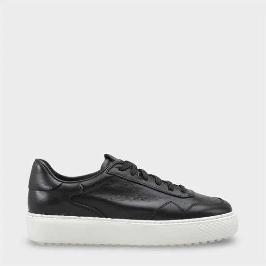 Rutte Black