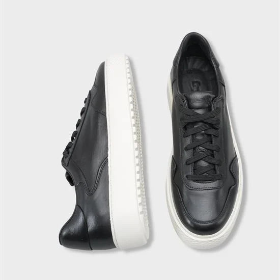 Rutte Black